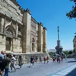 Atico Gran Terraza Luz * Cordoba